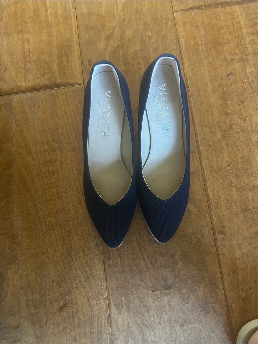 Viscata Navy Pointed-Toe Slip-On Flats